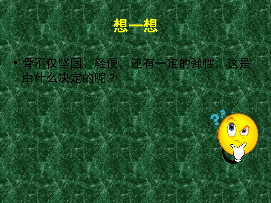 动物运动的形成_第3页