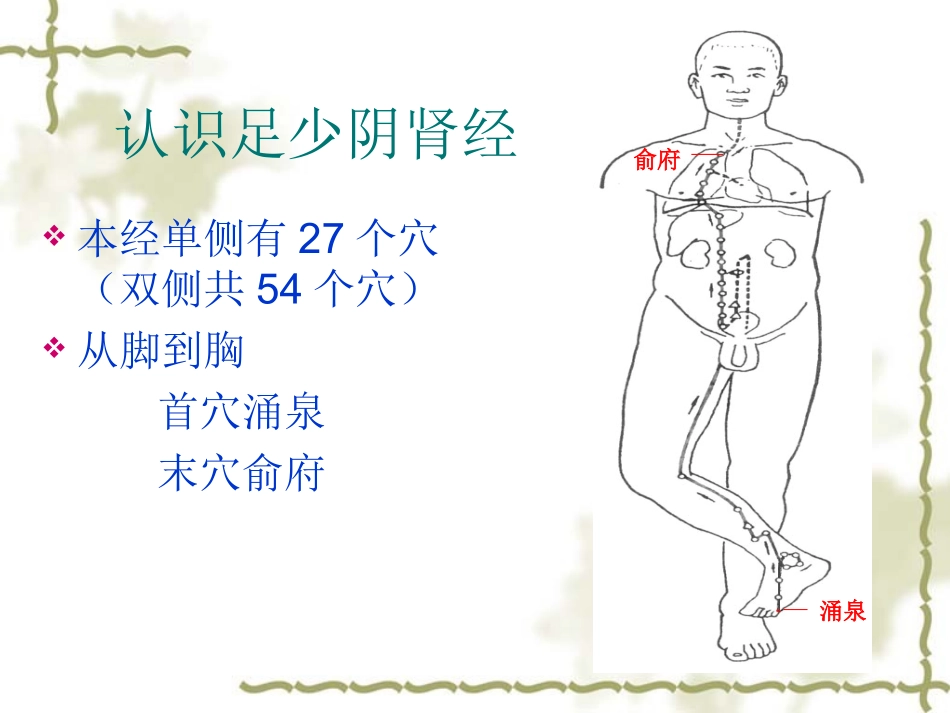 十四经络之肾膀胱_第2页