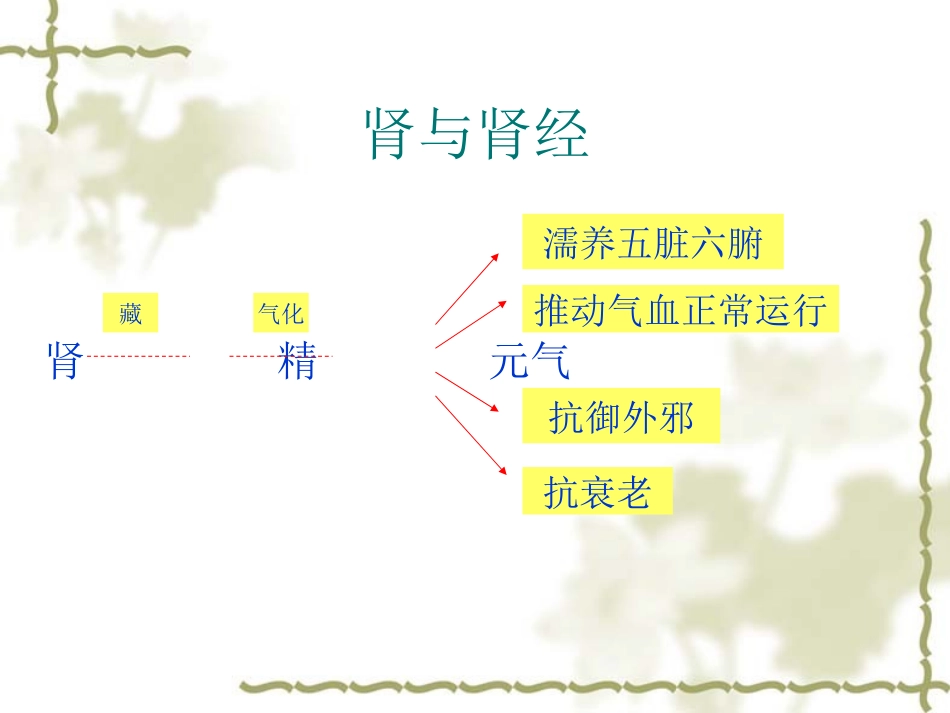 十四经络之肾膀胱_第3页