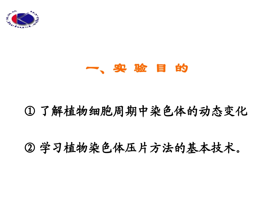 实验七：植物染色体压片技术_第2页