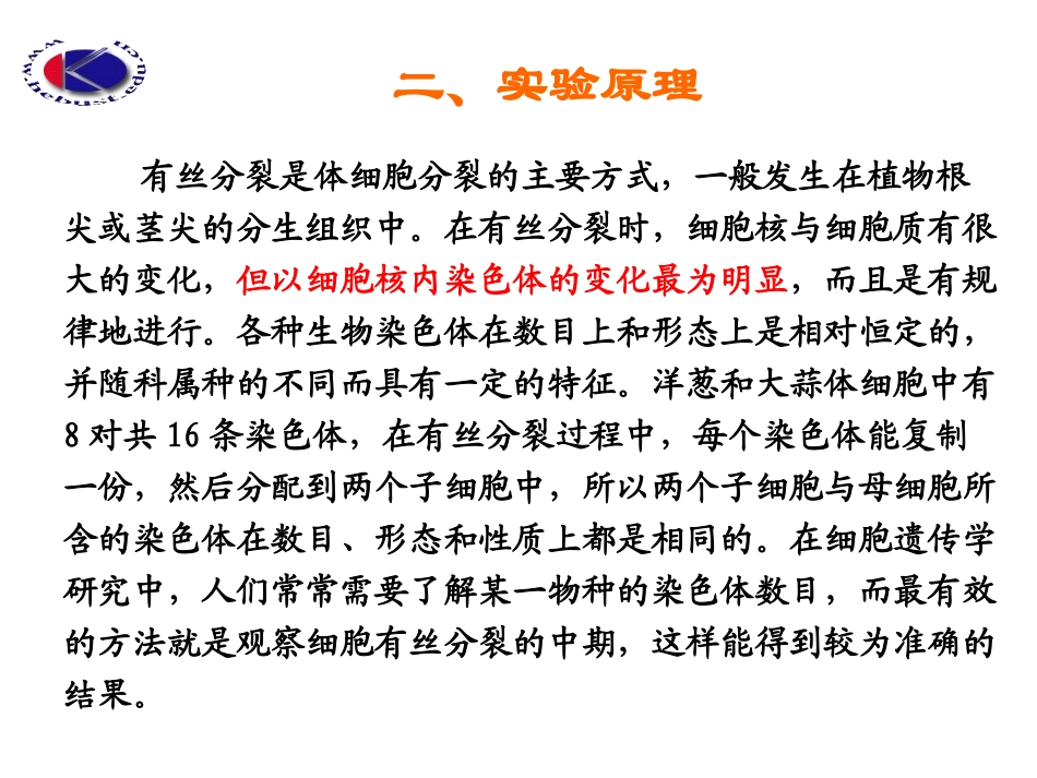 实验七：植物染色体压片技术_第3页