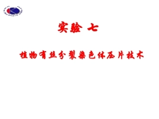 实验七：植物染色体压片技术