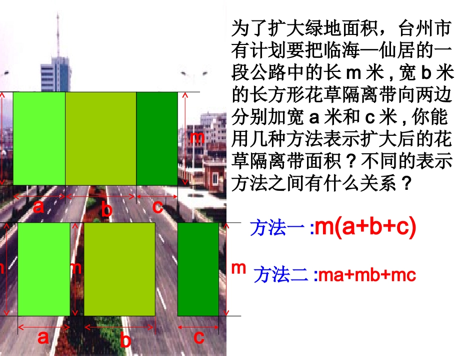数学：21《整式》课件（人教新课标七年级上）_第2页