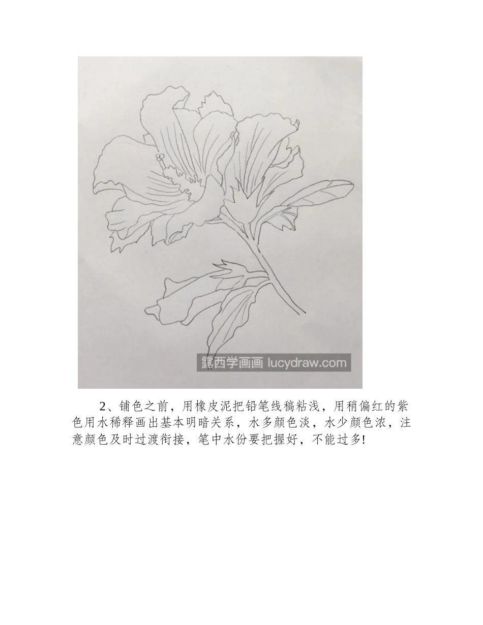 水彩木槿花如何画_具体的图文步骤有几步_水彩画教程_第2页