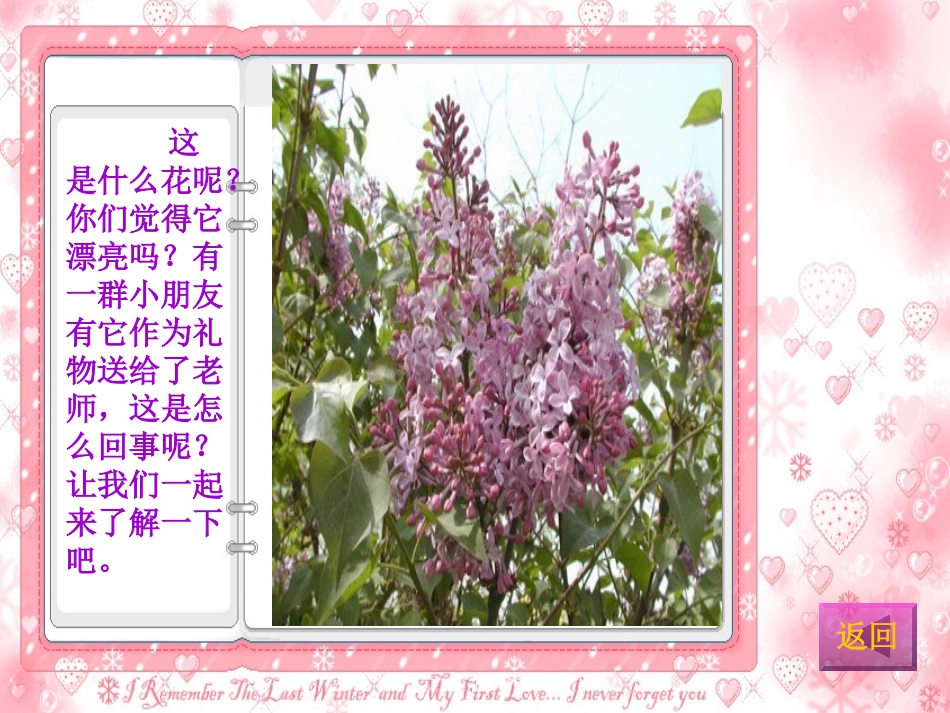 《一株紫丁香》课件(新课标人教版二年级语文上学期课件)_第2页