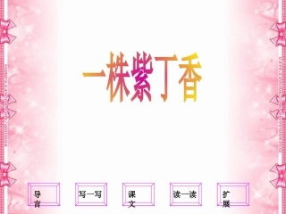 《一株紫丁香》课件(新课标人教版二年级语文上学期课件)