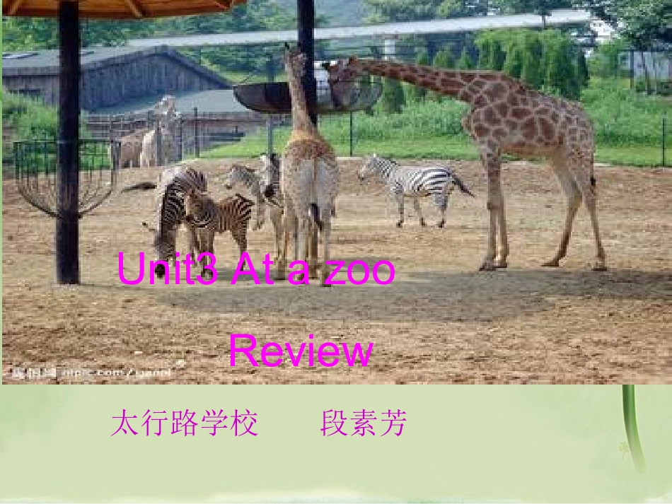 人教PEP版英语三年级下册Unit_3_At_a_zoo_复习课件_第1页