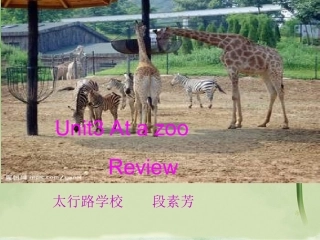 人教PEP版英语三年级下册Unit_3_At_a_zoo_复习课件