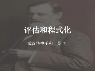 评估和程式化 精神分析