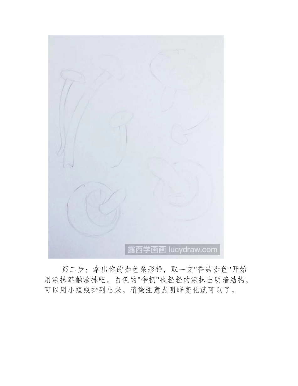 香菇彩铅画教程彩铅画教程_第2页