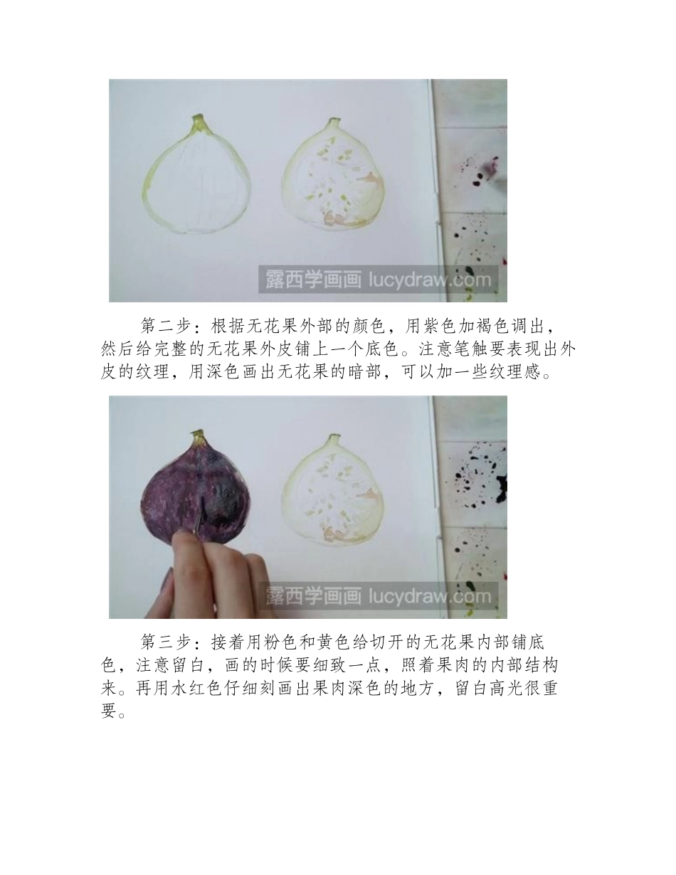 水彩画无花果教程水彩画教程_第2页