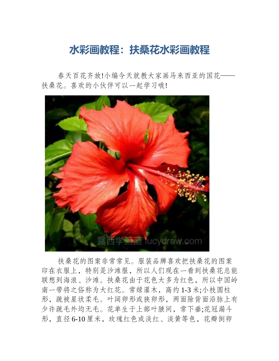 水彩画教程：扶桑花水彩画教程_第1页
