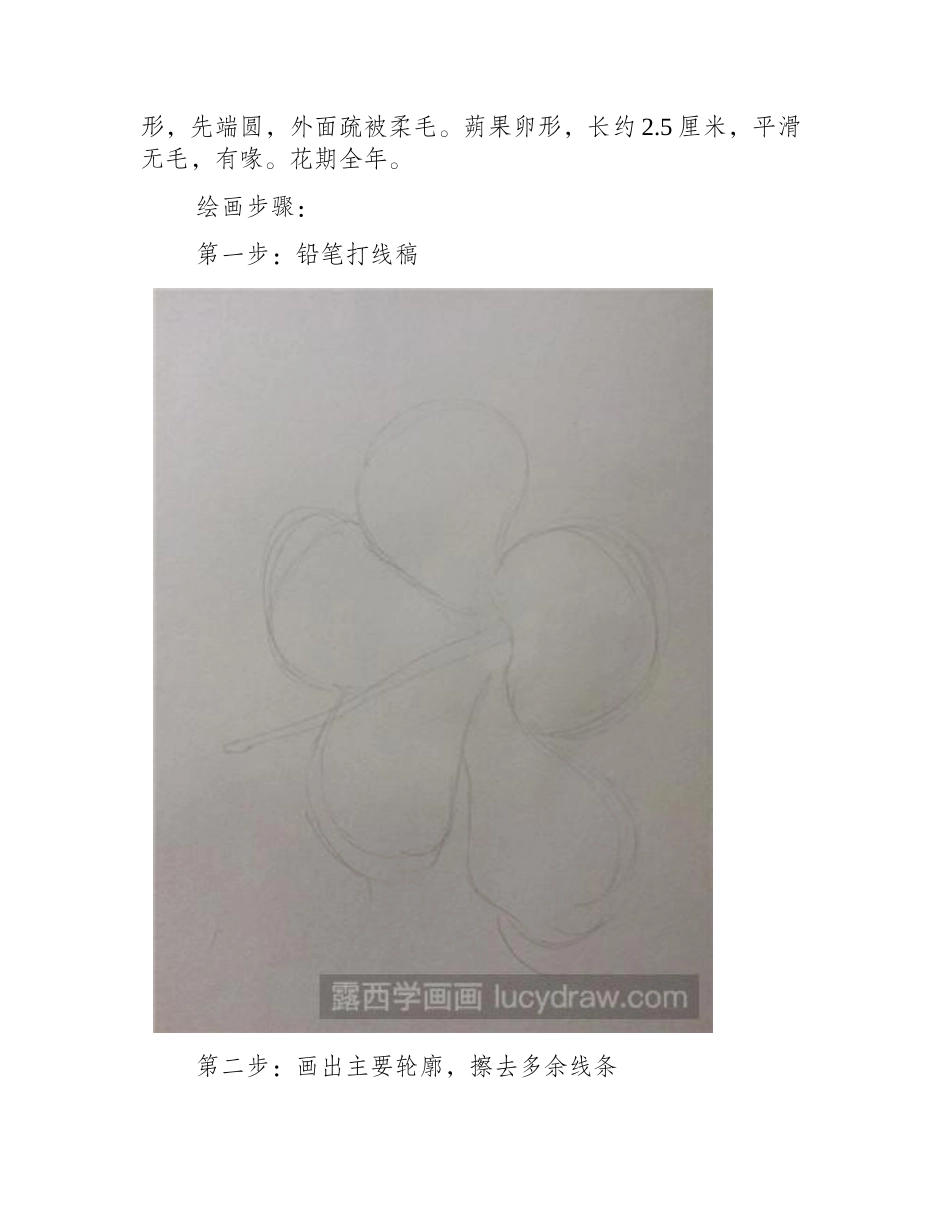 水彩画教程：扶桑花水彩画教程_第2页