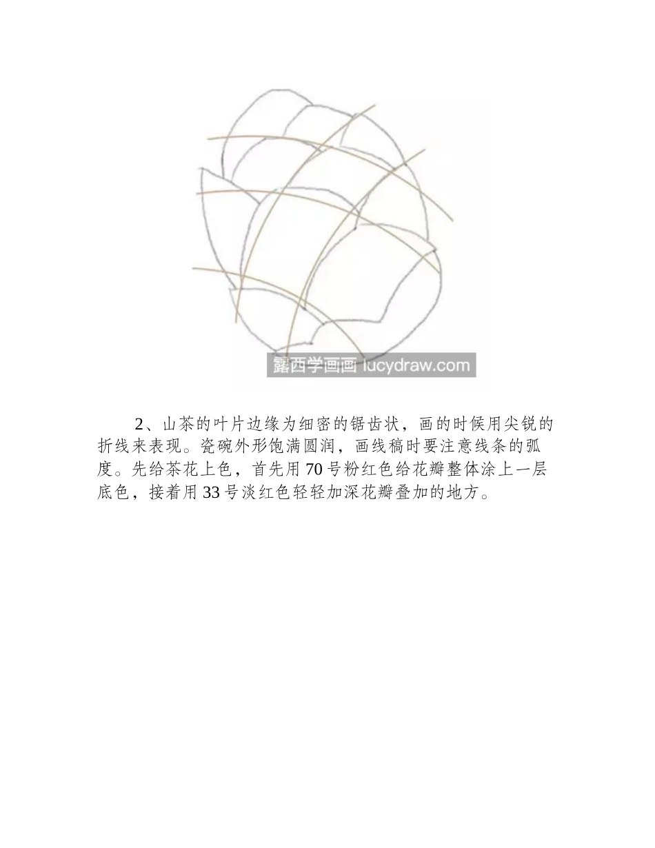 山茶花怎么画_海石榴的彩铅教程是什么_彩铅画教程_第2页