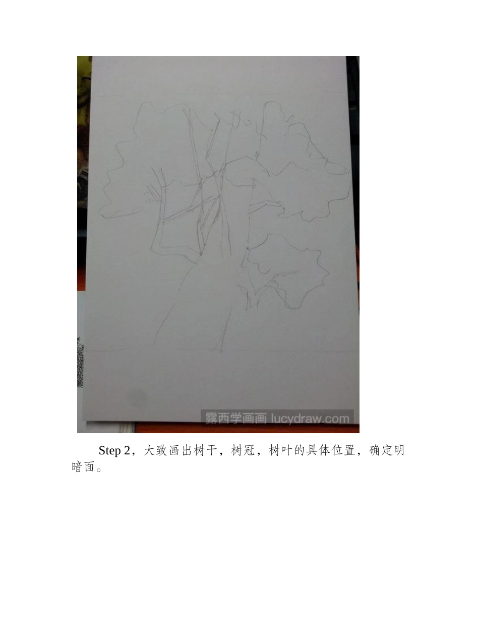 树的速写画法速写教程_第2页