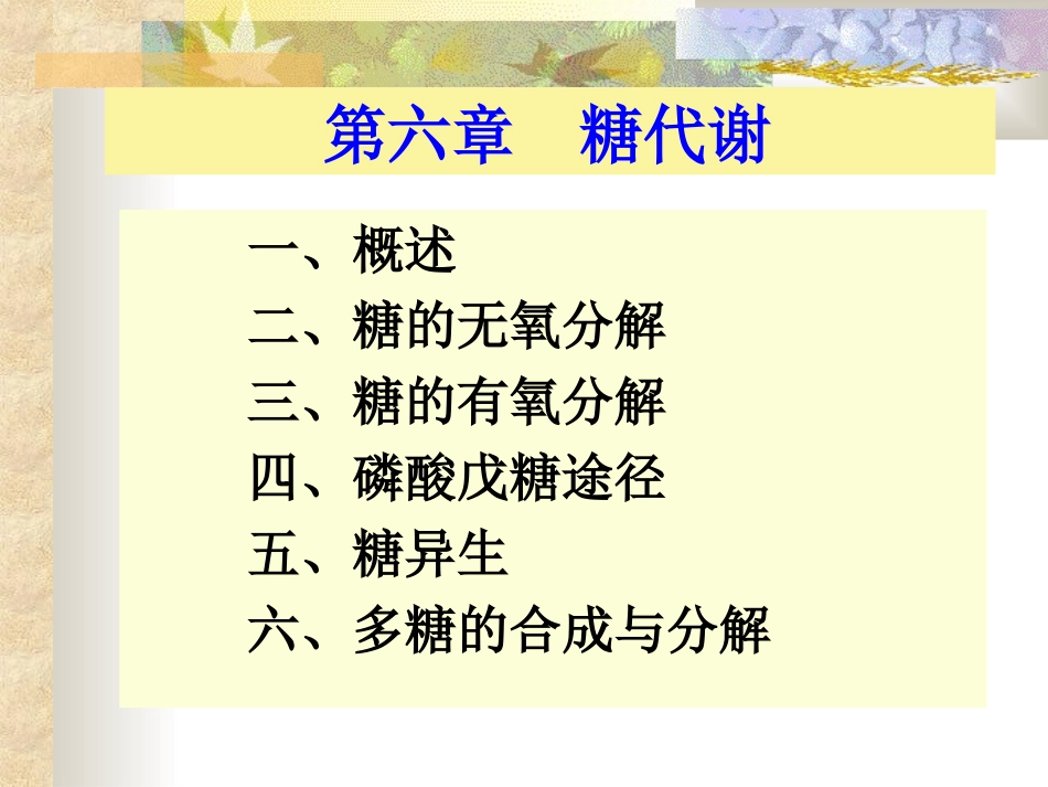 糖的无氧分解_第1页