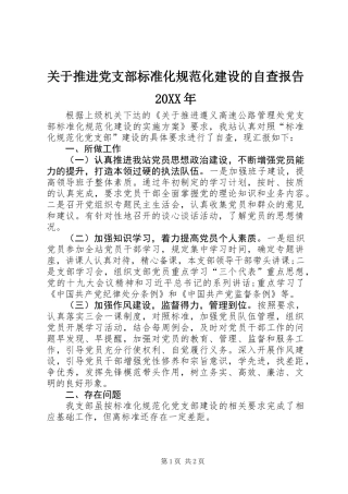 关于推进党支部标准化规范化建设的自查报告20XX年
