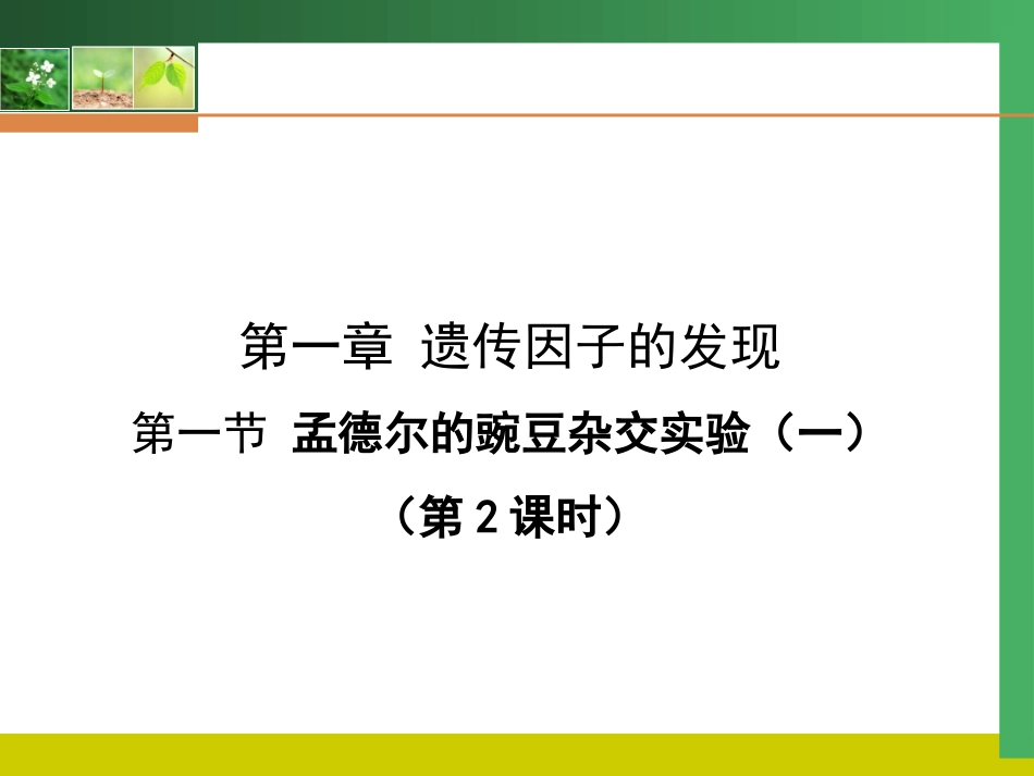 孟德尔豌豆杂交实验_第1页