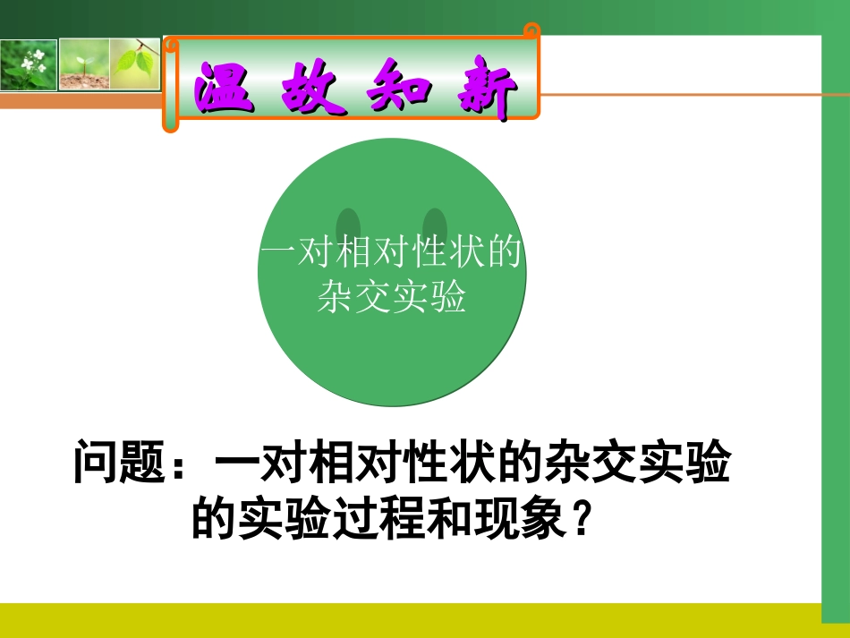 孟德尔豌豆杂交实验_第3页