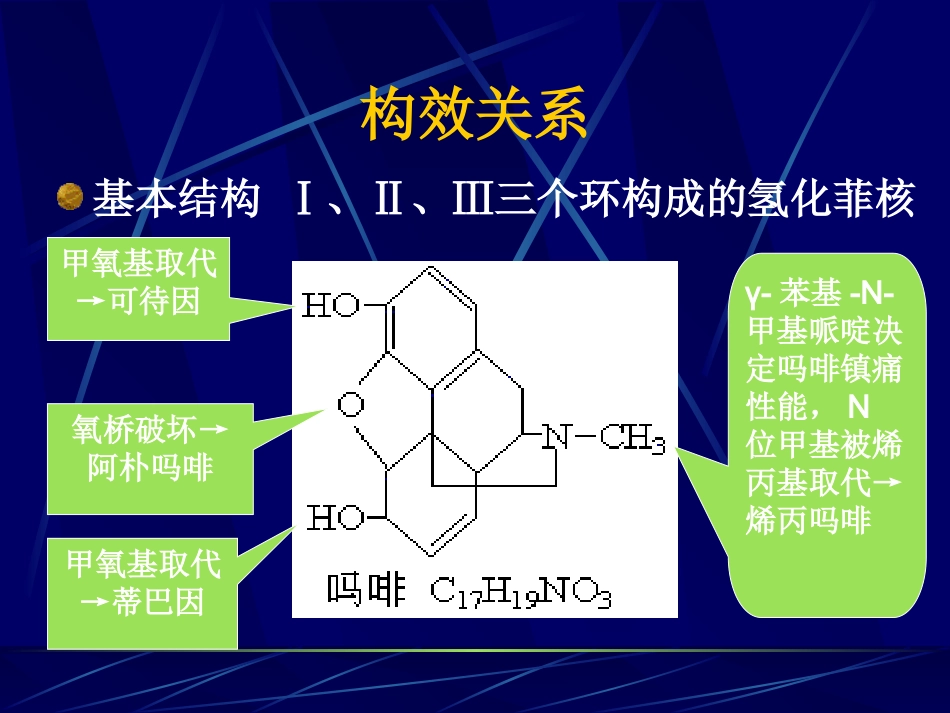 麻醉性镇痛药及其拮抗药1_第3页