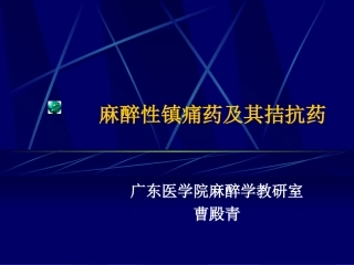 麻醉性镇痛药及其拮抗药1