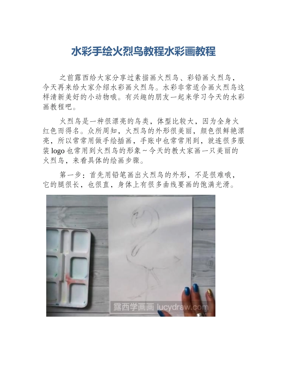 水彩手绘火烈鸟教程水彩画教程_第1页