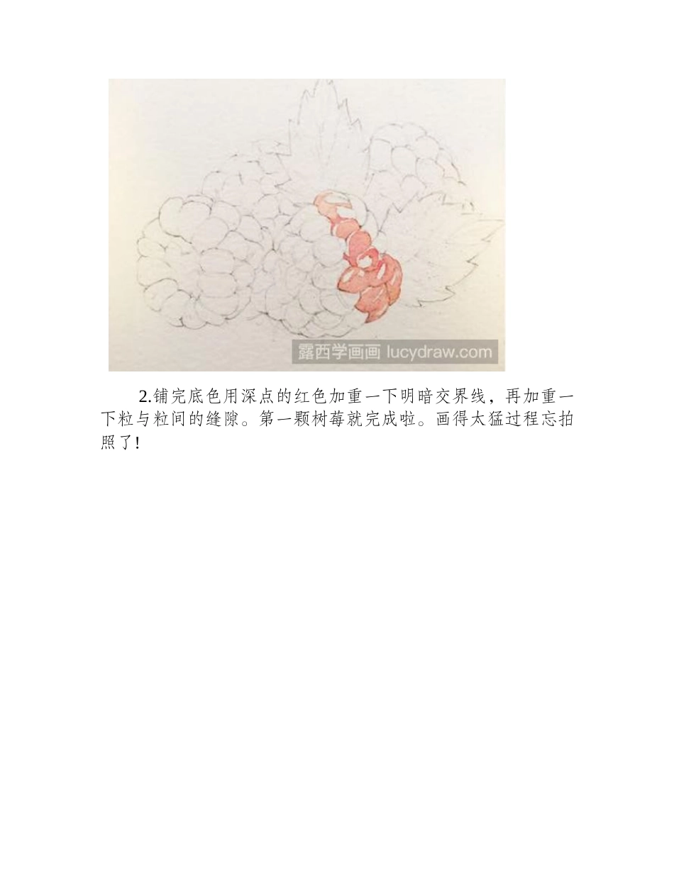 水彩画教程：怎么画树莓水彩画教程_第2页