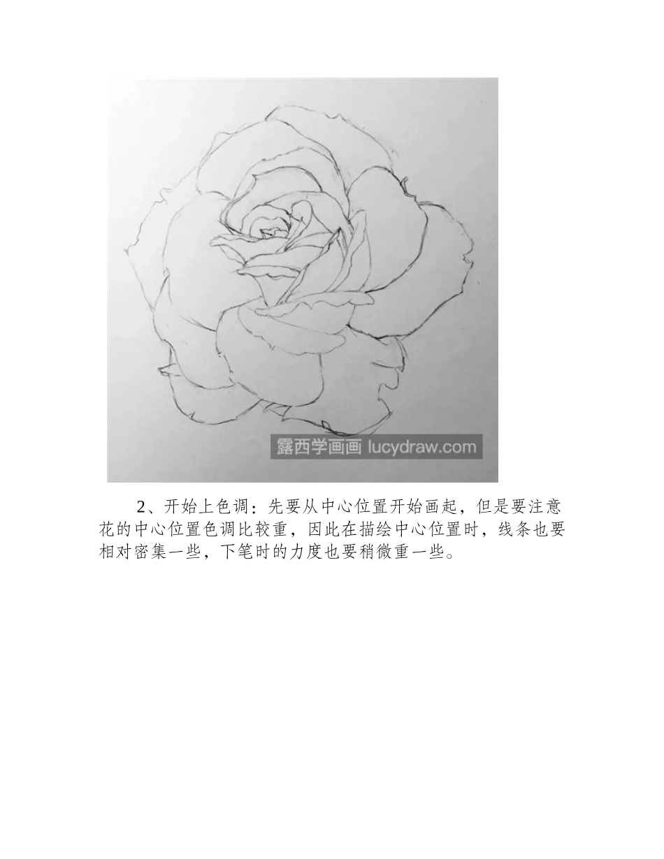素描月季花怎么画_教你在情人节画一朵月季花素描教程_第2页