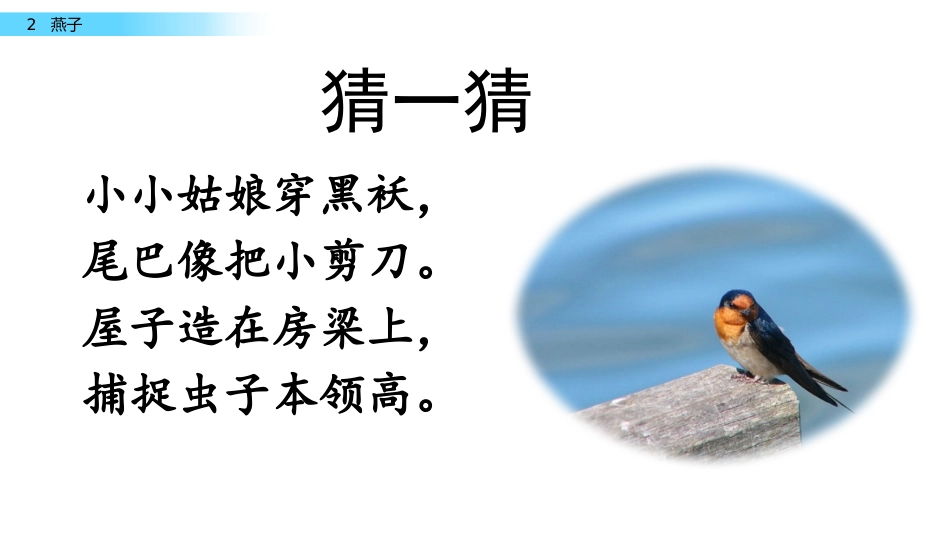 三年级下册《燕子》课件_第1页