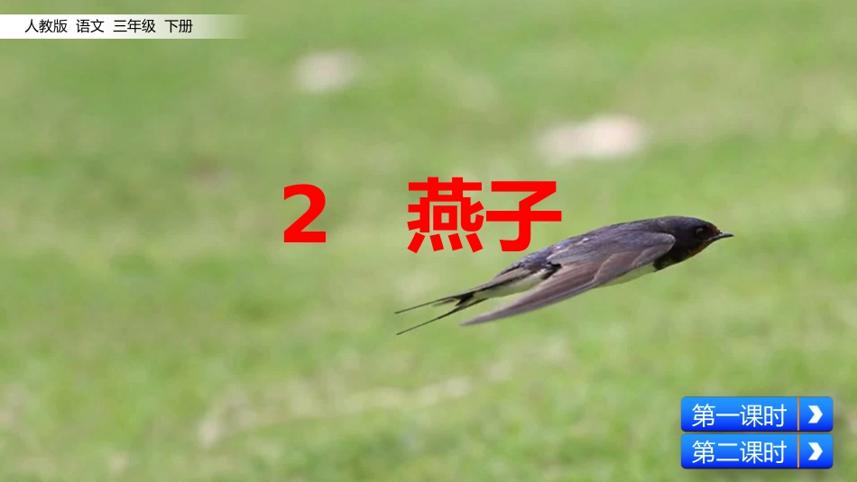 三年级下册《燕子》课件_第2页