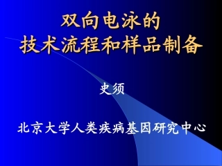 双向电泳的技术流程
