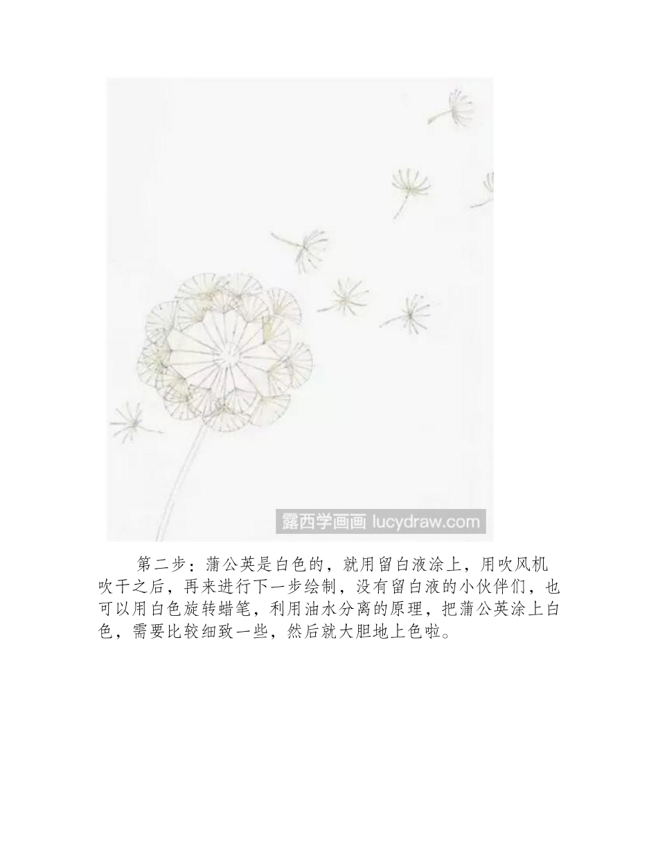 蒲公英怎么画_婆婆丁水彩画教程分享水彩画教程_第2页