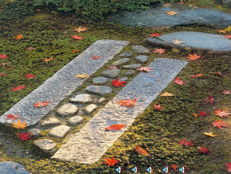 听听秋的声音课件_第3页