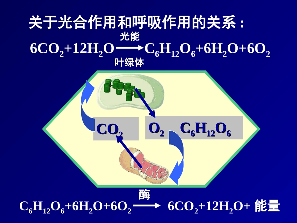 生物竞赛课件：呼吸作用_第2页
