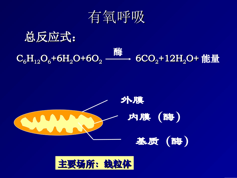 生物竞赛课件：呼吸作用_第3页