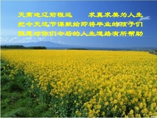 世间最美的坟墓确定稿