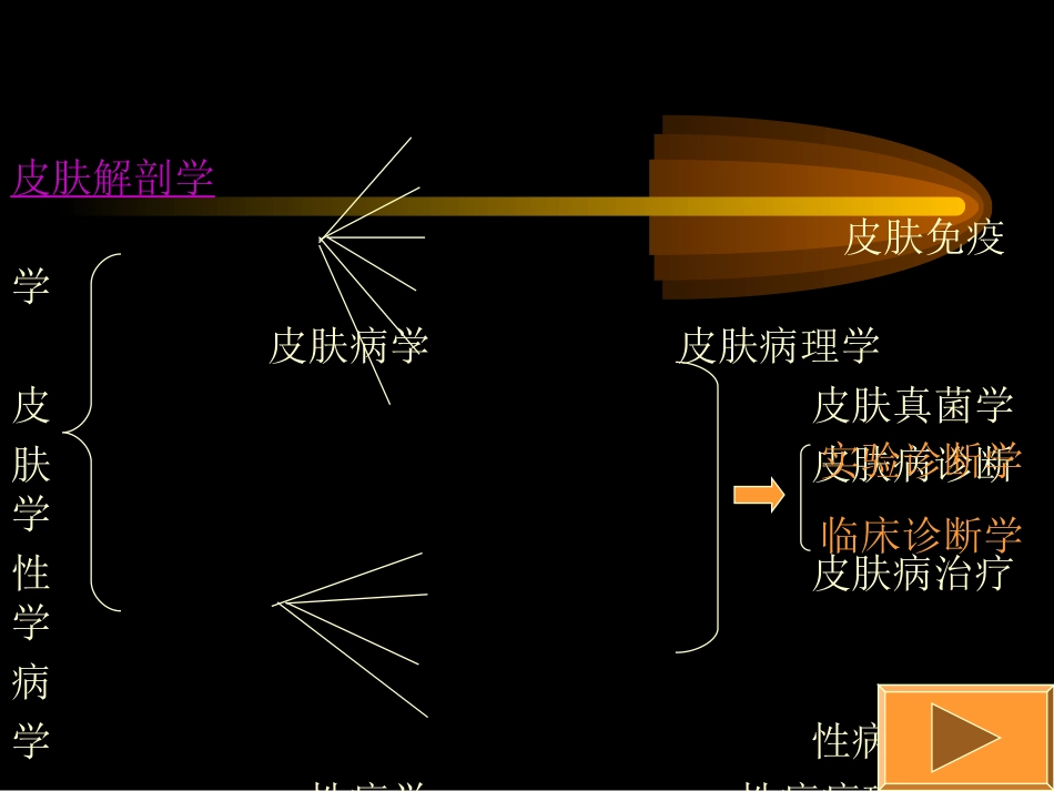 皮肤性病学1_第2页