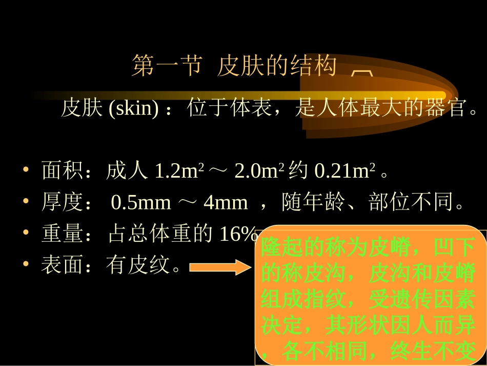 皮肤性病学1_第3页