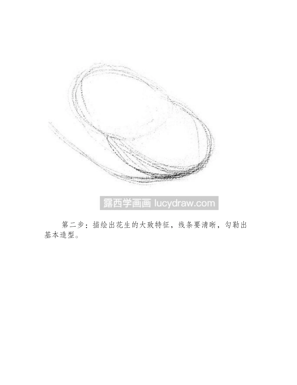 素描教程：花生的绘制方法素描教程_第2页