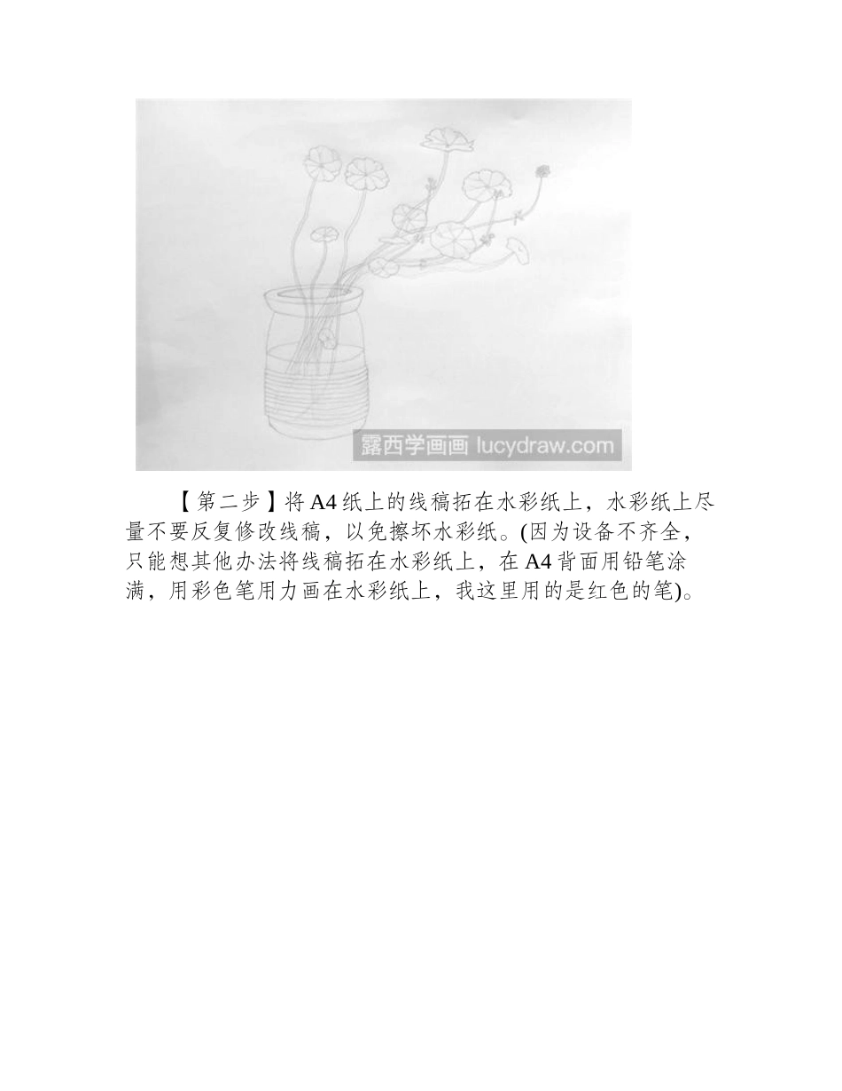 铜钱草的画法水彩画教程_第2页