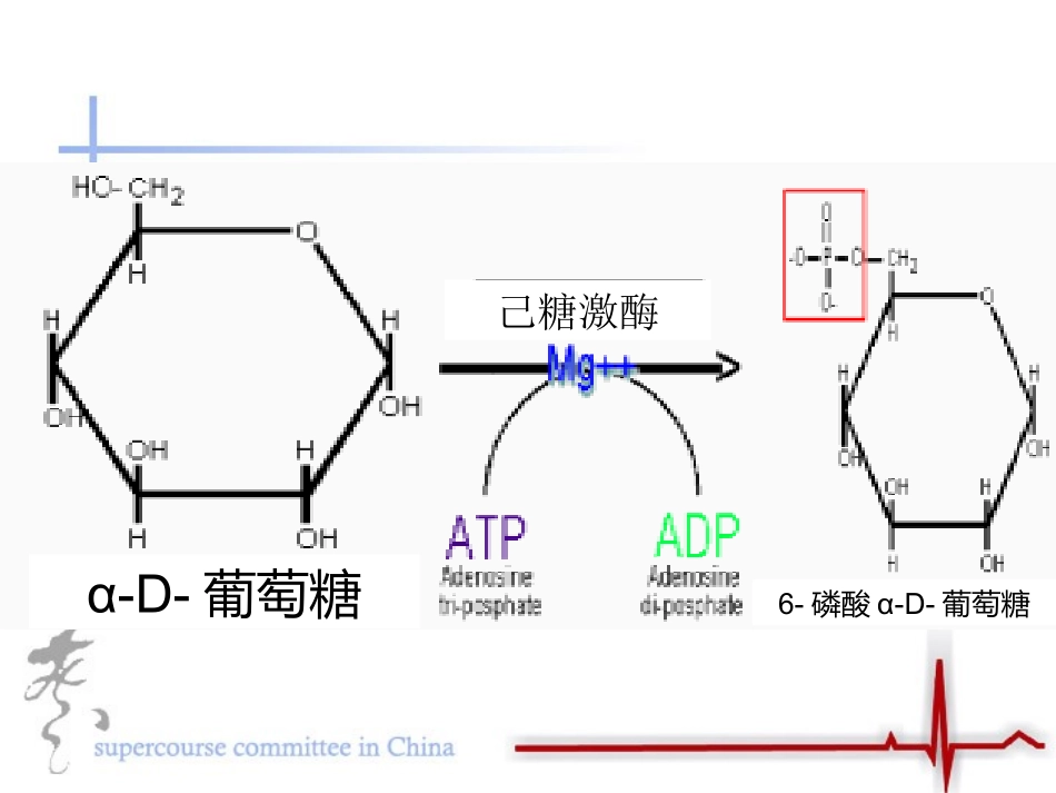 镁离子的作用_第3页