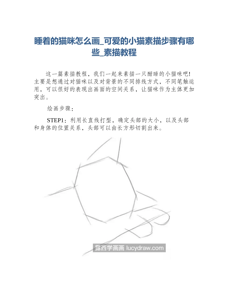 睡着的猫咪怎么画_可爱的小猫素描步骤有哪些_素描教程_第1页