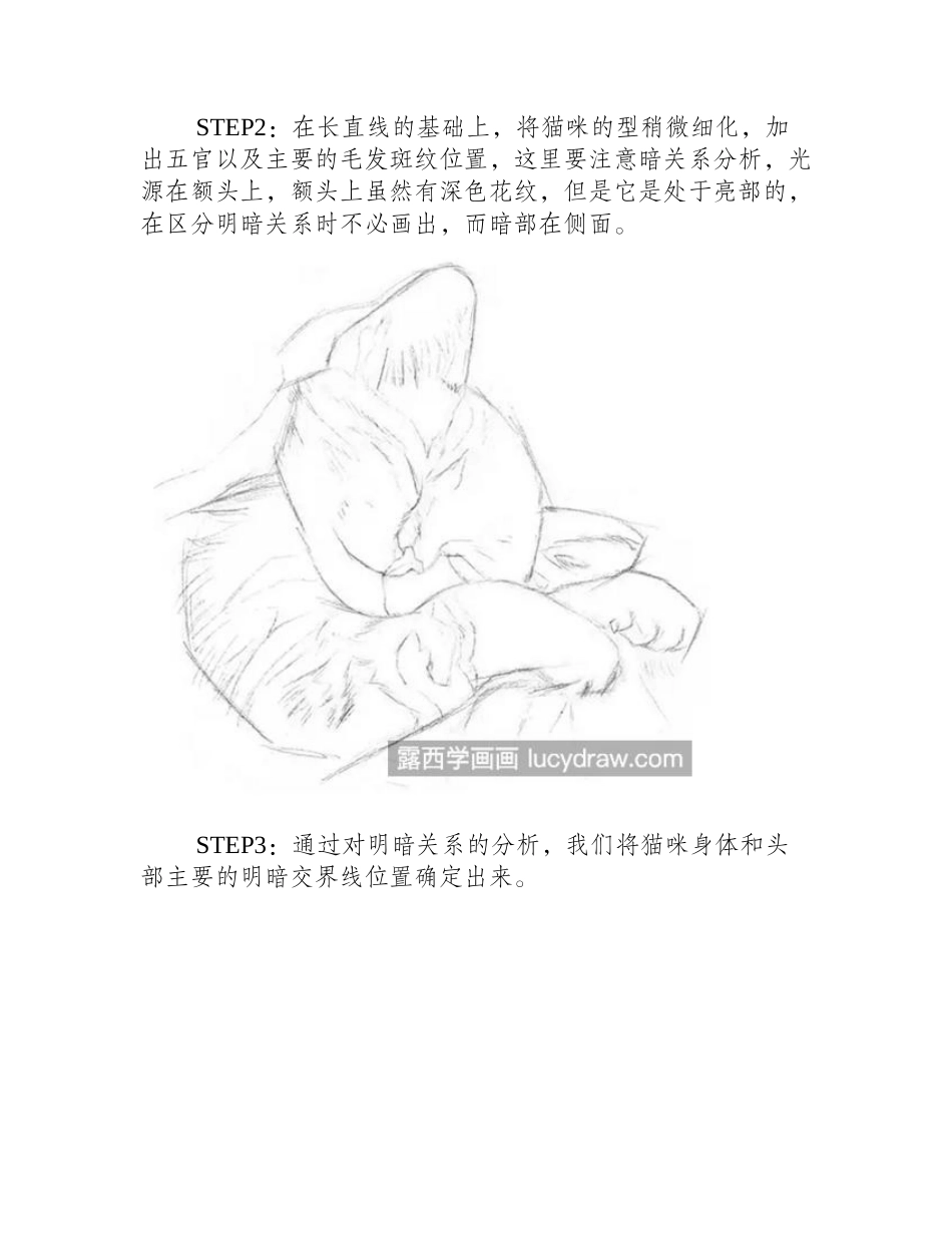 睡着的猫咪怎么画_可爱的小猫素描步骤有哪些_素描教程_第2页