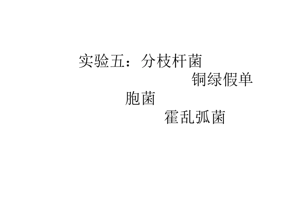 实验五：分枝杆菌、铜绿假单胞菌_第1页