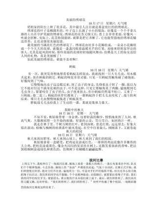 日记美丽的绣球花