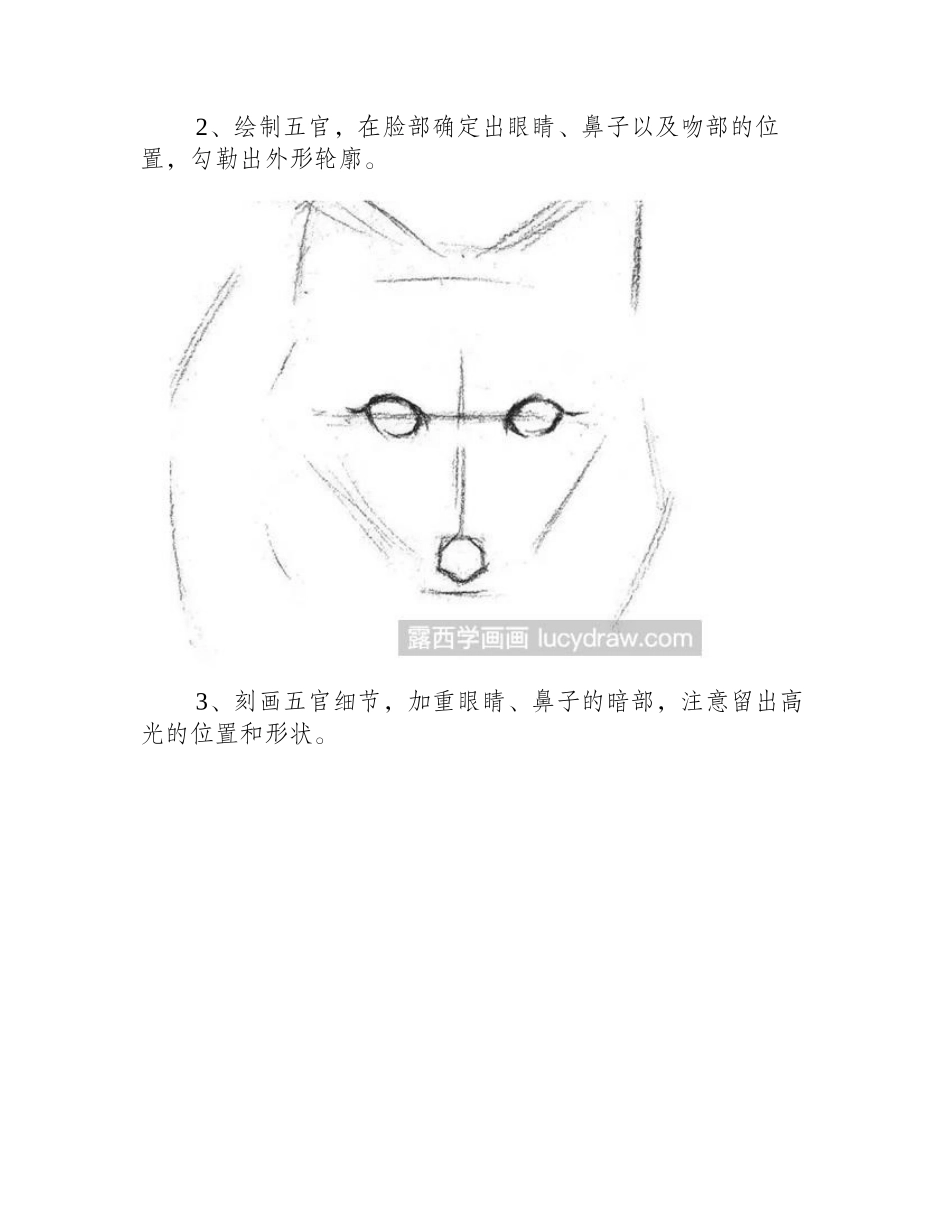 素描狐狸怎么画_狐狸素描步骤有哪些_素描教程_第2页