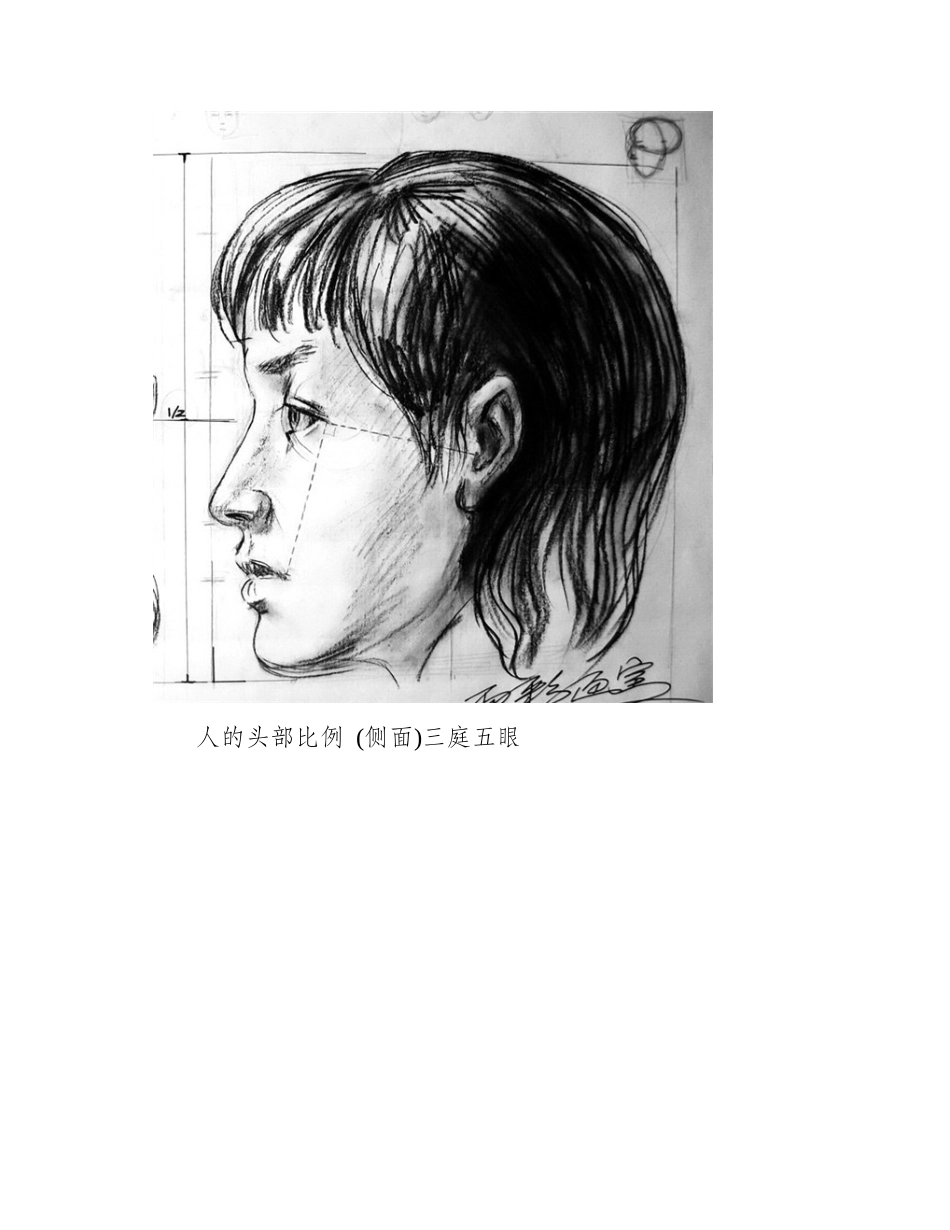 素描人体结构比例素描教程6_第2页