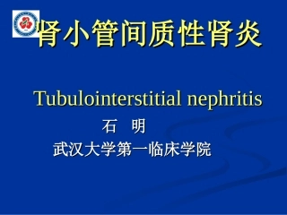 肾小管间质性肾炎 Tubulointerstitial nephritis