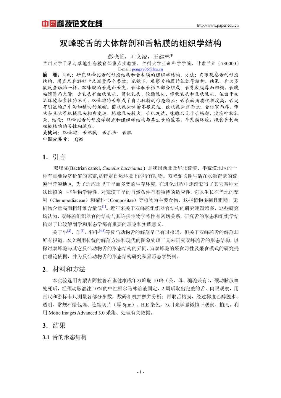 双峰驼舌的大体解剖和舌粘膜的组织学结构_第1页