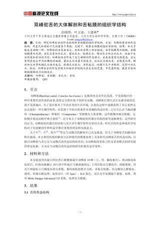 双峰驼舌的大体解剖和舌粘膜的组织学结构